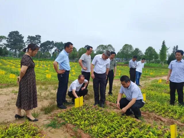科技特派員在基地進行技術(shù)指導(dǎo).jpg