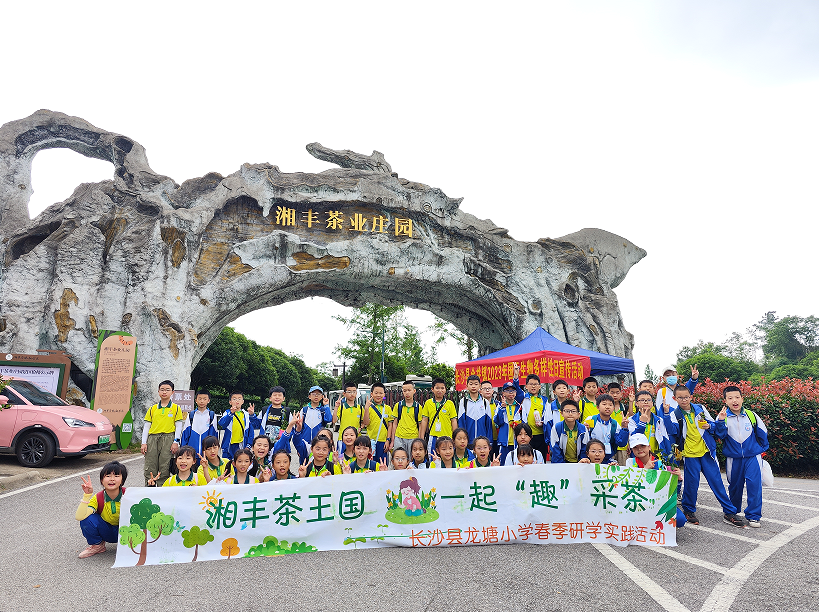 “湘豐茶業(yè)莊園游客持續(xù)暴漲”第九屆茶文化旅游節(jié)后迎來第一波高峰！