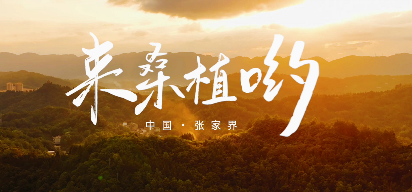 桑植推廣歌曲《來(lái)桑植喲》發(fā)布！
