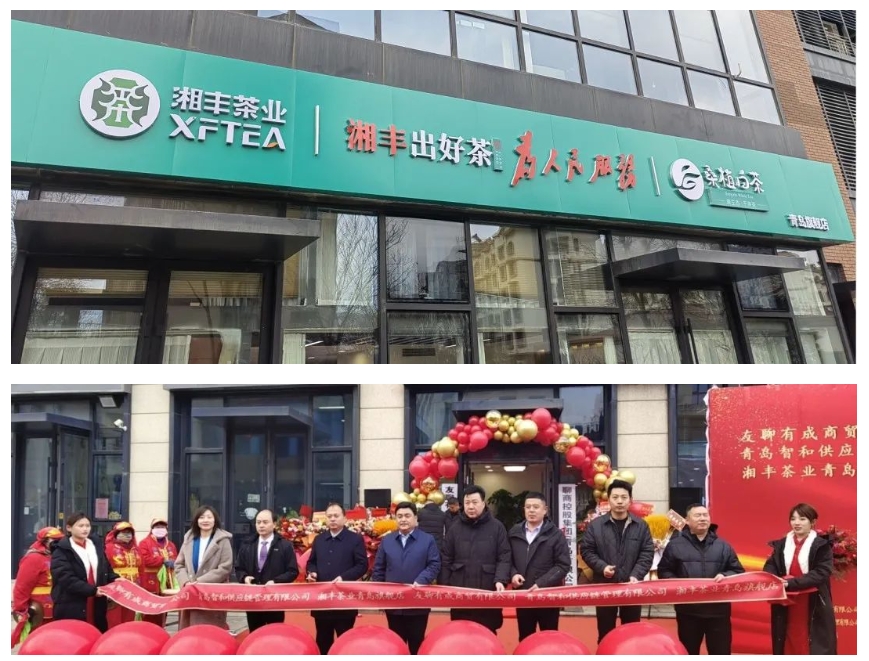 青島旗艦店盛大開業(yè)！湘豐茶業(yè)集團全國布局再下一城